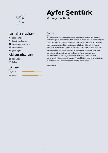 Pastacı Cv Örnekleri cv indir